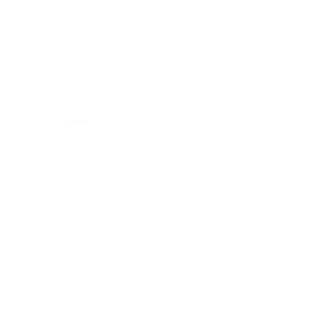 Logo Molini Pivetti S.p.A. - Idroelettrica Spa