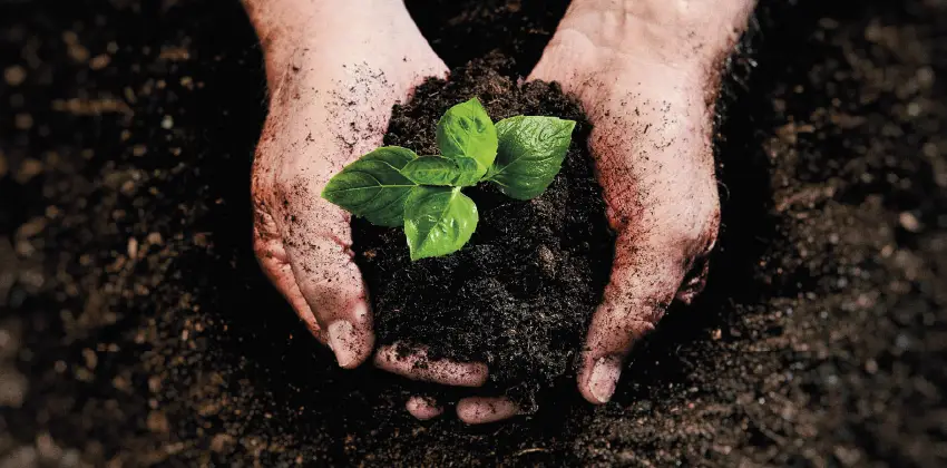 Ecoprogetto Veritas SpA - Idro-elettrica S.p.A.