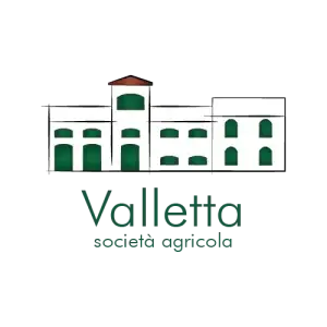 Logo Valletta Srl - Idroelettrica Spa