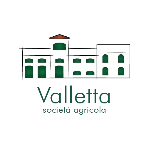 Logo Valletta Srl - Idroelettrica Spa
